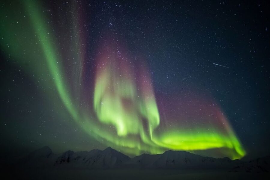 Iceland: South Coast and Northern Lights Tour - Reynisfjara, black sand, basalt columns, and serious waves