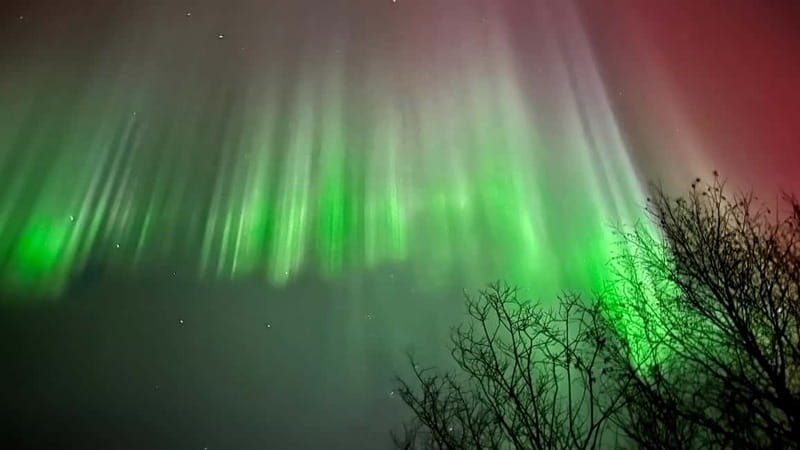 Inari/Ivalo: Aurora Hunting Tour by Car with Warm Drinks - A Four-Hour Search Across the Ivalo Area
