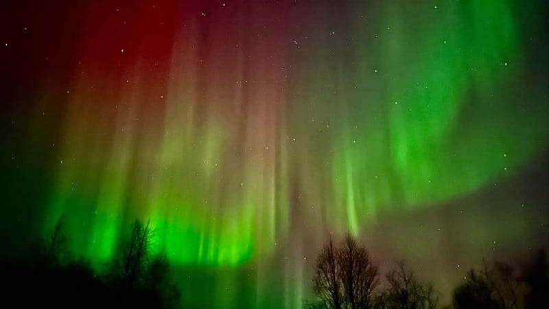 Inari/Ivalo: Aurora Hunting Tour by Car with Warm Drinks - Why the Guide and Driver Matter After Dark