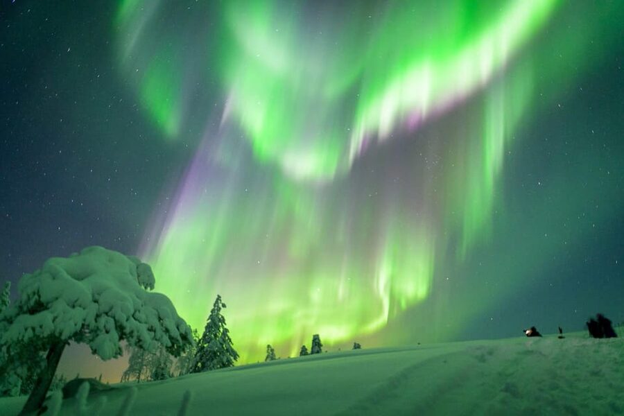 Inari: Northern Lights Hunt Snowmobile Safari - Key points to know before you book