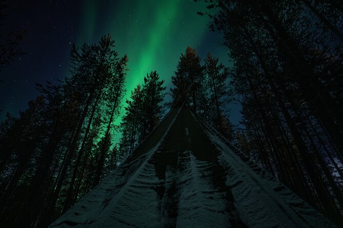 Ivalo: Aurora Hunting with Reindeer - The $144.19 price and what you receive