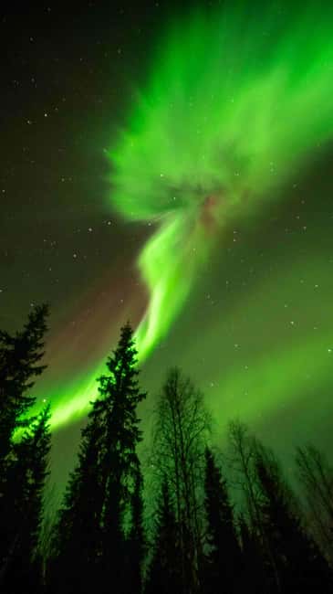 Kemijärvi: Insider Guided Aurora Hunting - Six hours of searching, not one quick photo stop