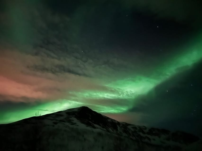 Kirkenes: Northern Lights Chase Tour - Key points to know before booking