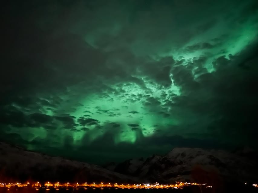 Kirkenes: Northern Lights Chase Tour - Who will like this tour most