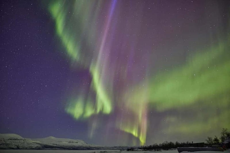 Kiruna: Abisko Northern Lights Tour with Dinner - Key points to know before booking