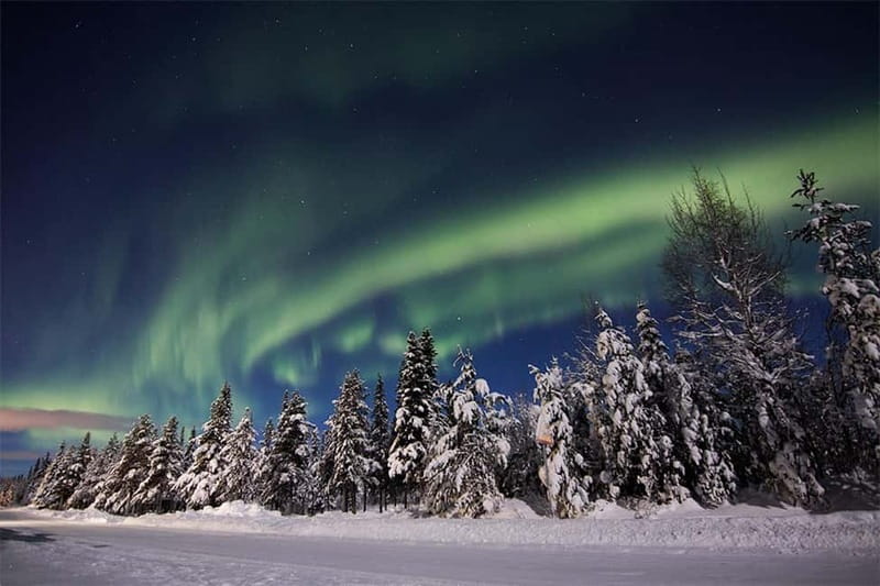 Kiruna: Snowshoe Trek with Aurora Hunt and Warm Beverage - Meeting near Kiruna’s new city centre