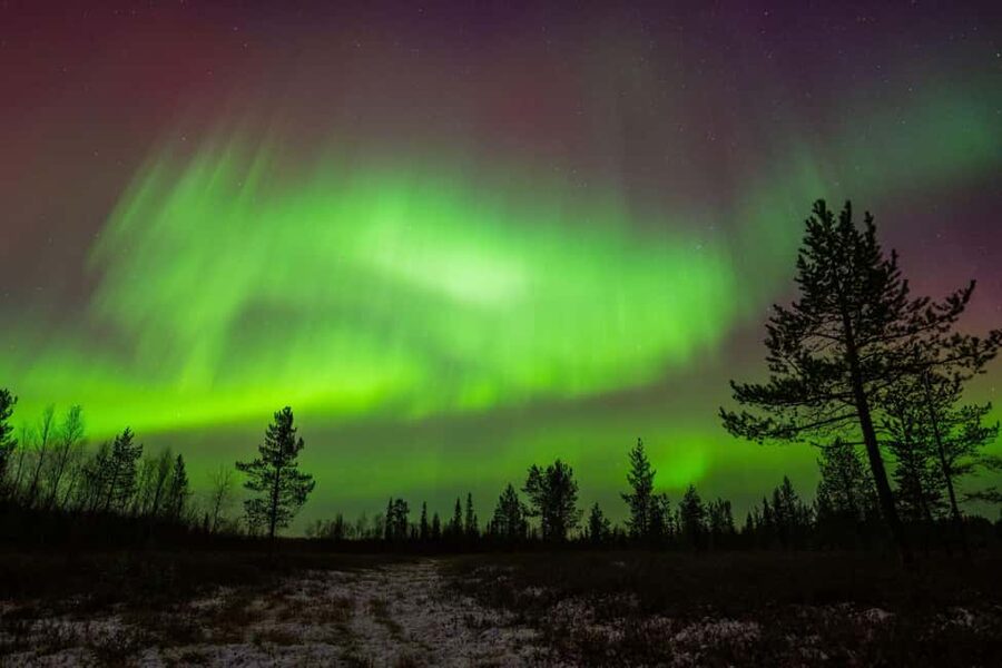 Lapland: Aurora Hunting by Minivan with Guide and Transport - Chasing clearer skies around Ivalo and Inari