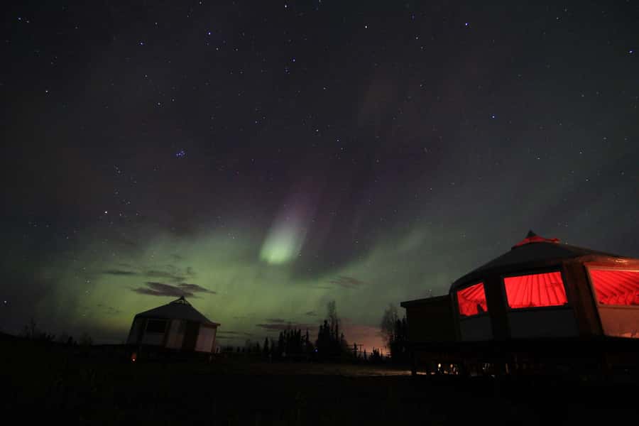 Late Night Yurt Dinner and Northern Lights - Key points to know before booking