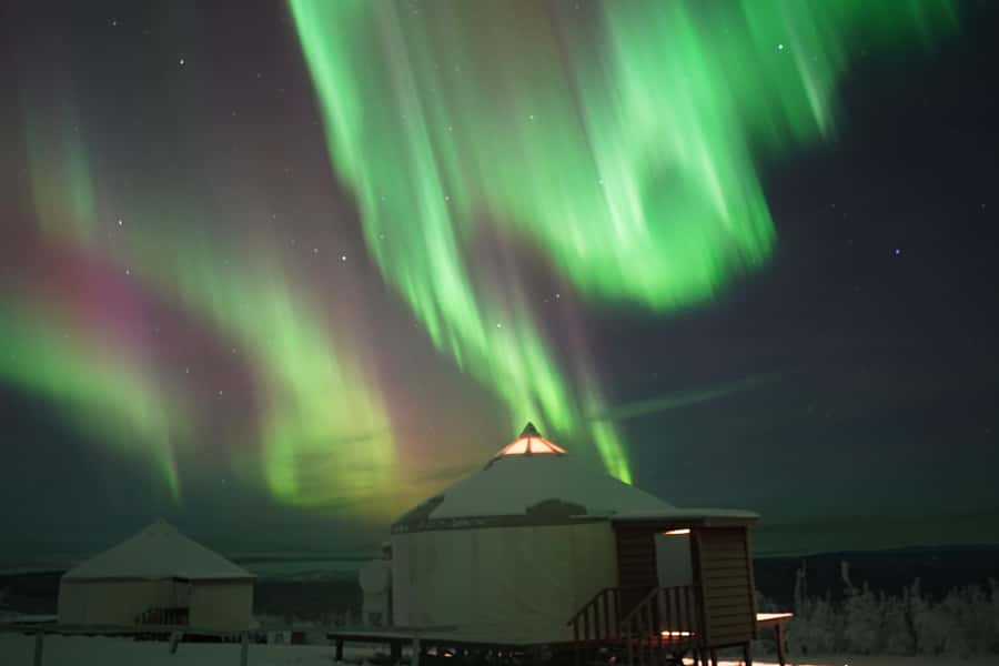 Late Night Yurt Dinner and Northern Lights - A salmon dinner while you wait