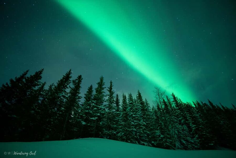 LEVI Adults Only Northern Lights Hunt with Snowshoeing - Key points to know before booking