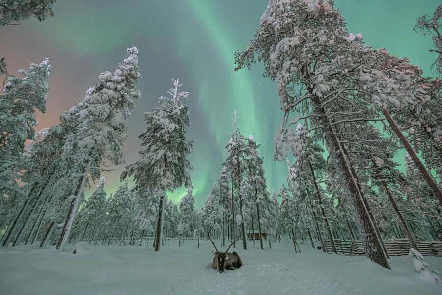 LEVI Adults Only Northern Lights Hunt with Snowshoeing - Weather, snow, and the limits of nature