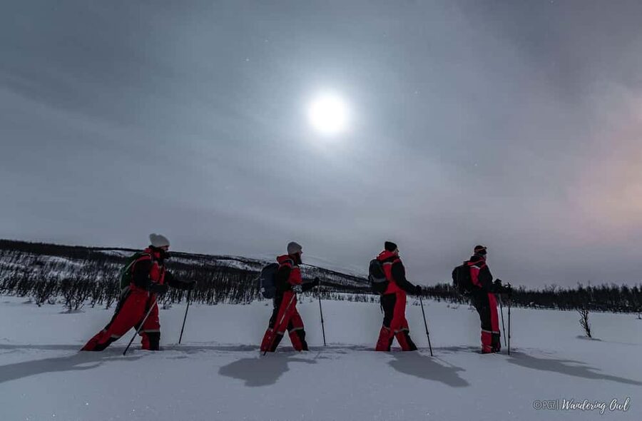 LEVI Adults Only Northern Lights Hunt with Snowshoeing - Snowshoeing through Finnish forest
