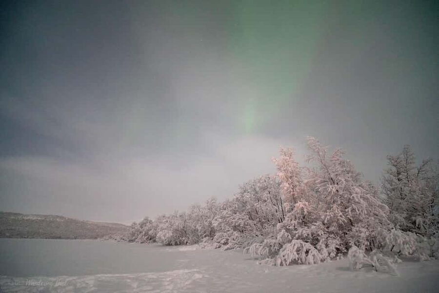 LEVI Adults Only Northern Lights Hunt with Snowshoeing - Waiting for the aurora beside a campfire