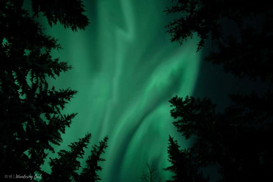 LEVI Adults Only Northern Lights Hunt with Snowshoeing - Setting out from Levi and heading into the dark