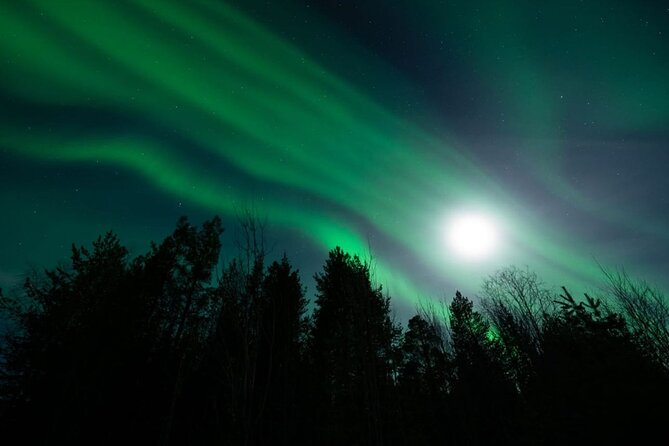 Levi: Aurora Borealis Tour and Stargazing Experience - How the Northern Lights search works
