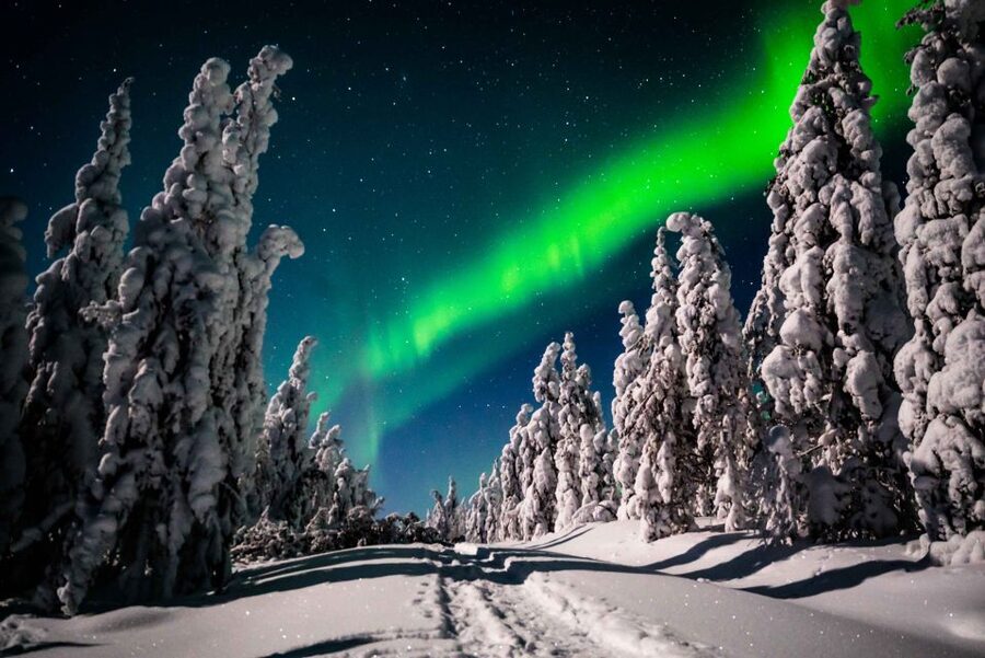 Levi: Best & Original Northern Lights Hunting & photography - Is $145 a fair price?