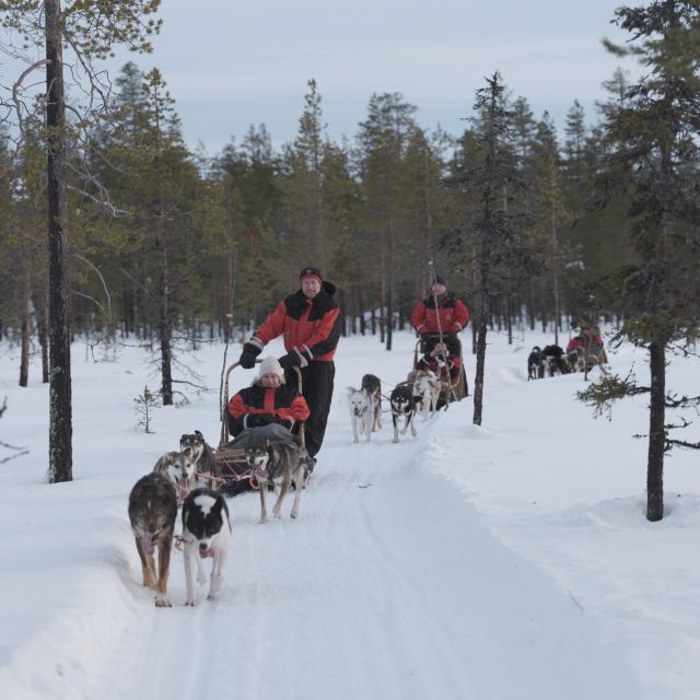 Levi: Evening Husky Sled Ride under the Northern Lights - The Northern Lights question