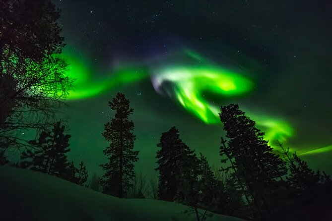 Levi Northern Lights Experience - Key points to know before you book