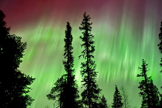 Levi Northern Lights Experience - Leaving Levi for a frozen lake