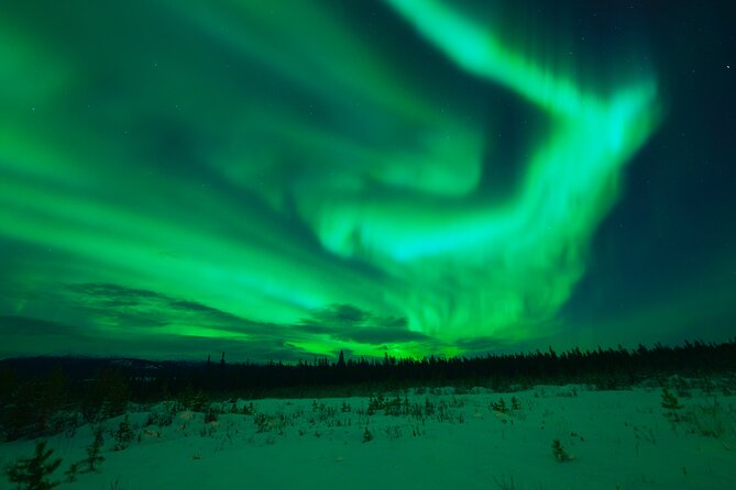 Levi Northern Lights Experience - Glögi, sausages, and a taste of Lapland