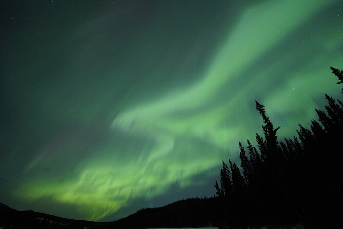 Levi Northern Lights Experience - What happens when the Northern Lights do not appear