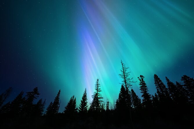 Levi Northern Lights Experience - Is $179.82 a fair price?