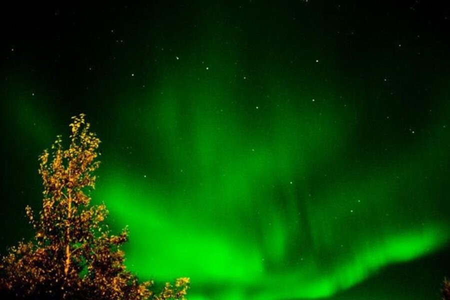 Levi: Northern Lights Hunt Including Campfire Snacks - Booking advice and cancellation flexibility