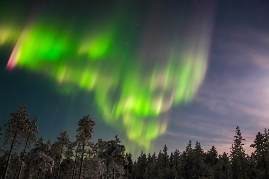 Levi: Northern Lights Hunting Photo Tour - Key points to know before booking