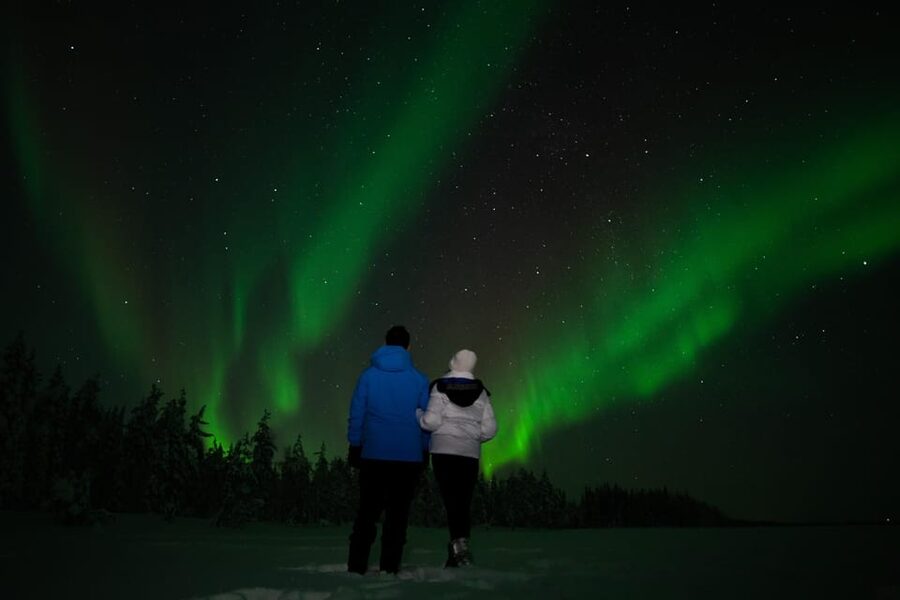 Levi: Northern Lights Sledge Ride - Key points before you book