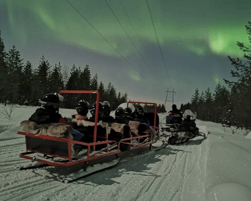 Levi: Northern Lights Sledge Ride - Stopping in the dark wilderness