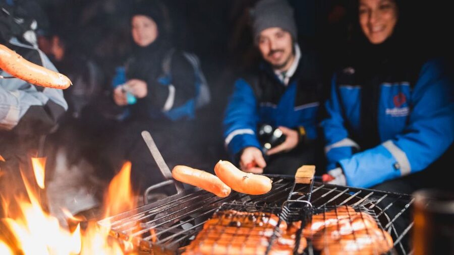 Levi: Northern Lights Snowmobile Tour with Snacks and Drinks - Key points to know before you book