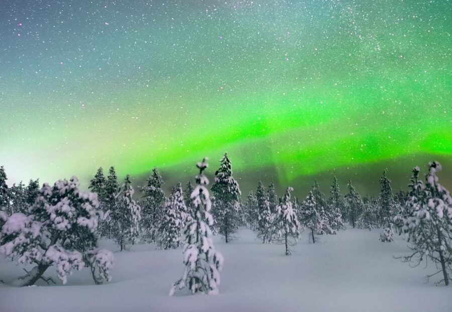 Levi: Northern Lights Snowmobile Tour with Snacks and Drinks - Is $199 a fair price?