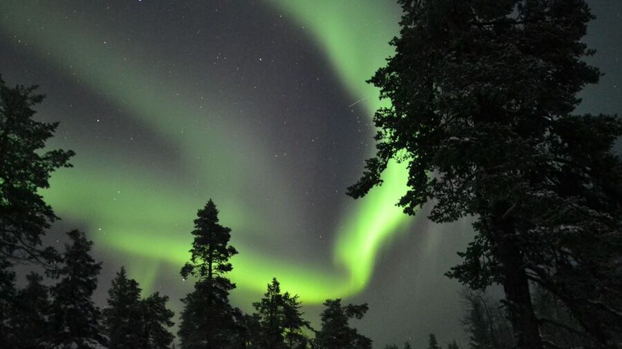 Levi: Northern Lights Snowmobile Tour with Snacks and Drinks - The return ride and what the timing means