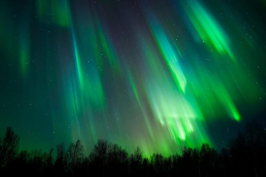 Levi: Northern Lights Tour with Guaranteed Sightings - The important details at a glance