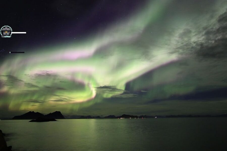 Lofoten: Northern Lights Tour with Photographer - What the four hours feel like