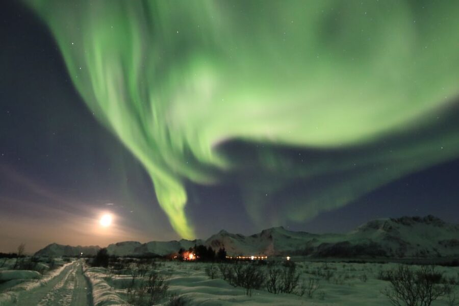 Lofoten: Northern Lights Tour with Photographer - Is $152 a fair price?