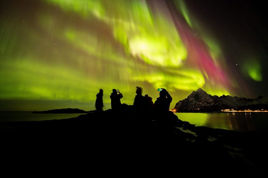 Lofoten: The Aurora Jæger – Northern Lights Hunt with Local - The road to Moskenesøya