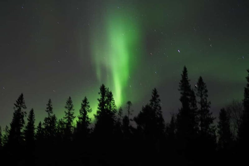 Luleå: Northern Lights Snowshoeing Tour - Walking into the snow-covered forest