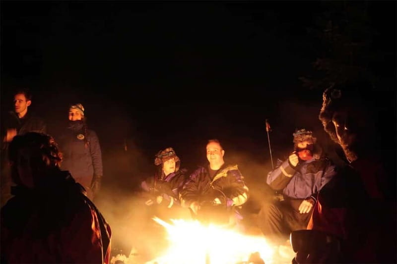 Luleå: Northern Lights Snowshoeing Tour - Who will enjoy this snowshoeing experience