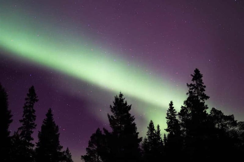 Luleå: Northern Lights Snowshoeing Tour - Starting with pickup and winter equipment
