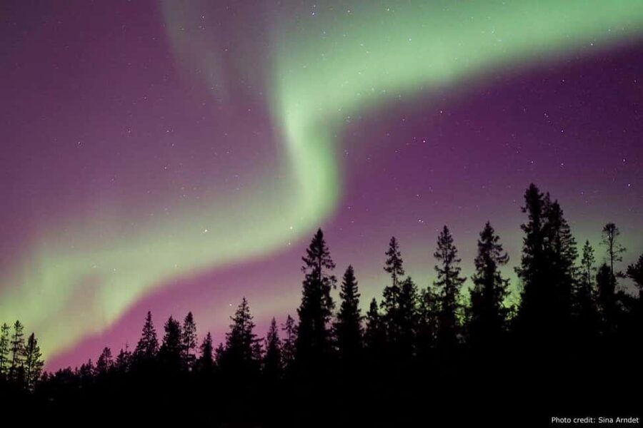Luleå: Northern Lights Tour by Car with Swedish Treats - Key points at a glance