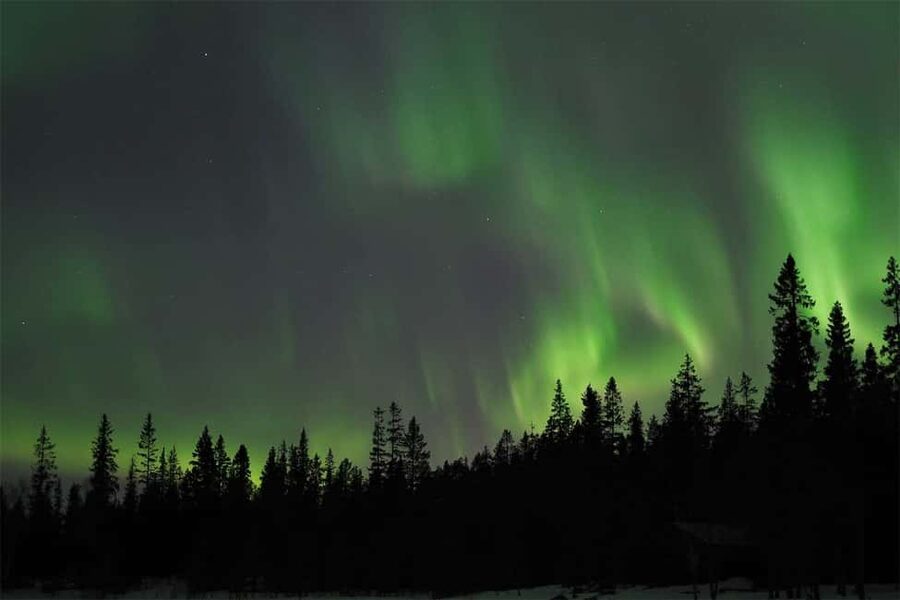 Luleå: Northern Lights Tour by Car with Swedish Treats - Hotel pickup begins the three-hour search
