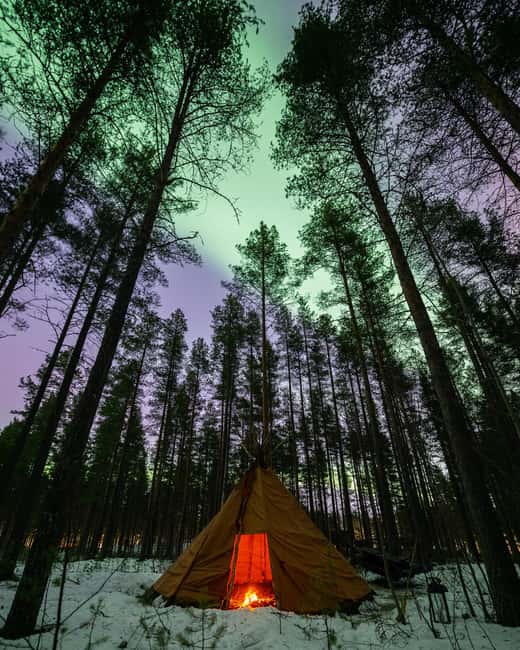 Luleå: Sami Culture, Reindeer, and Northern Lights Tour - Key points at a glance