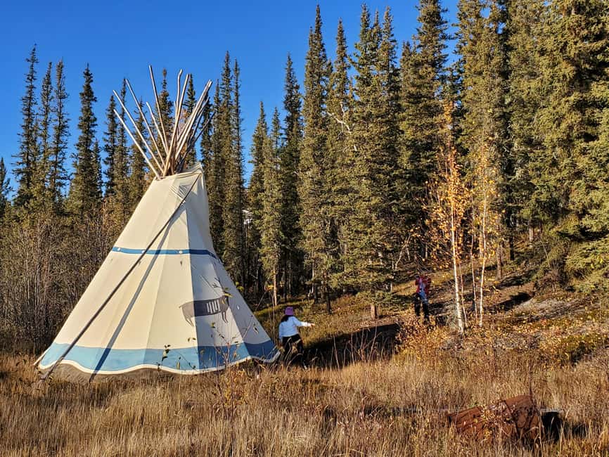 Madeline Lake: Aurora Lodge and Aurora Chasing Tour - A better way to wait for the northern lights