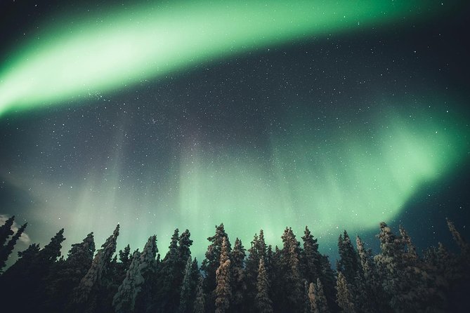 Magical Northern Lights Photography Tour Kiruna - Is $203.63 good value?