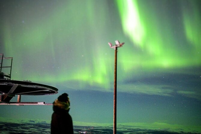 Magical Northern Lights Photography Tour Kiruna - Why the photography help matters