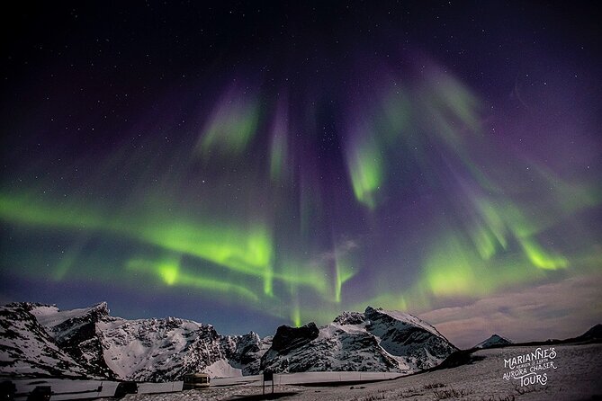 Marianne’s Heaven On Earth Aurora Chaser Tours - The small-group promise and what it means