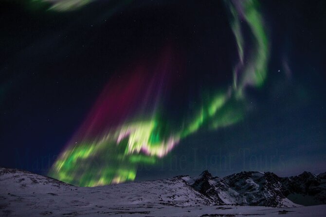 Marianne’s Heaven On Earth Aurora Chaser Tours - Practical details that can affect your decision