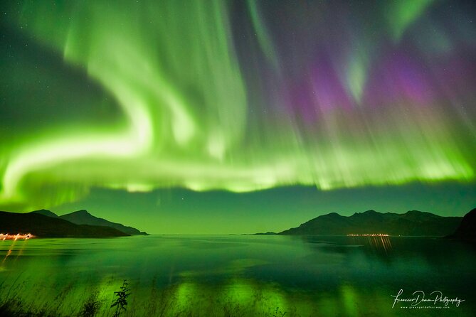 Minivan Northern Lights excursion (8 guests per minivan) - Photography Is More Than an Extra