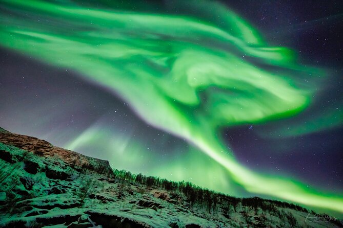 Minivan Northern Lights excursion (8 guests per minivan) - Tea, Coffee, Muffins, and Waiting in the Cold